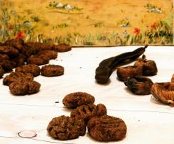 Biscotti rustici carrube e fichi secchi