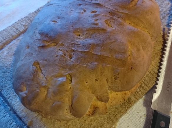 Pane con pasta madre