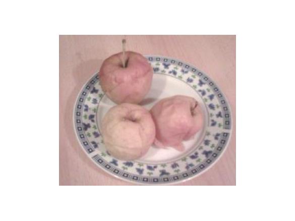 MELE COTTE SUPER LIGHT...e veloci