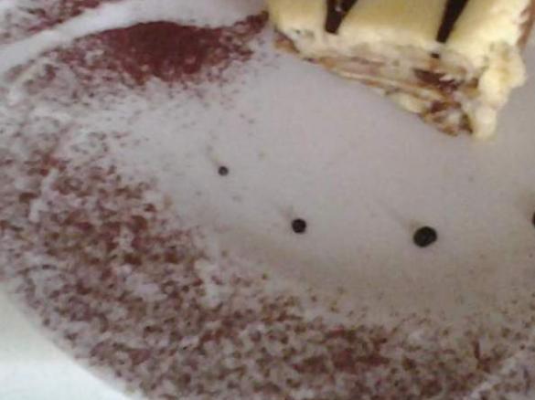 Tiramisu  col salsa al cioccolato