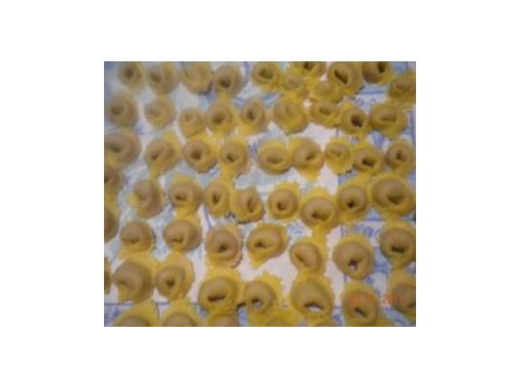 CAPPELLETTI REGGIANI