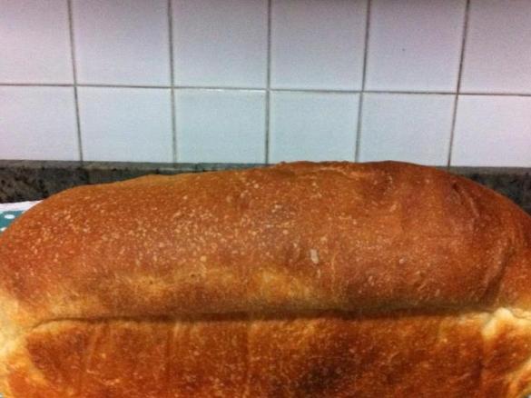 PanBauletto con lievito madre