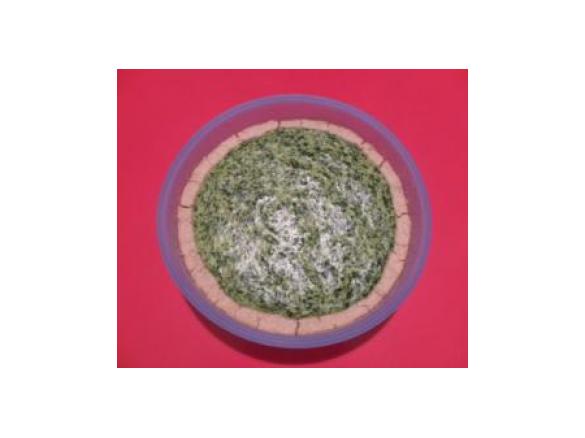 crostata salata bieta e ricotta