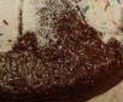 Torta al cioccolato tipo caprese senza burro e uova