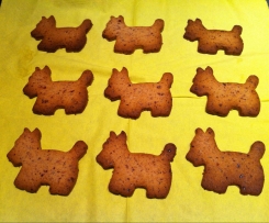 I BAUscotti ovvero biscotti ai mirtilli