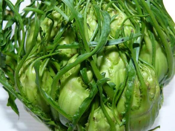 Puntarelle stufate