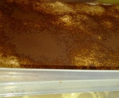 tiramisù