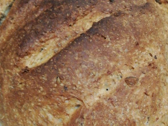 Pane semi integrale coi semi