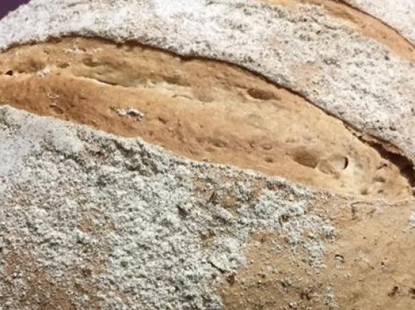 Pane con lievito madre