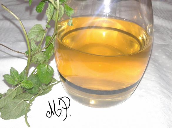 ACETO AROMATIZZATO ALLA MENTA  (Contest insaporitori )