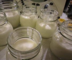 Yogurt da fermenti lattici