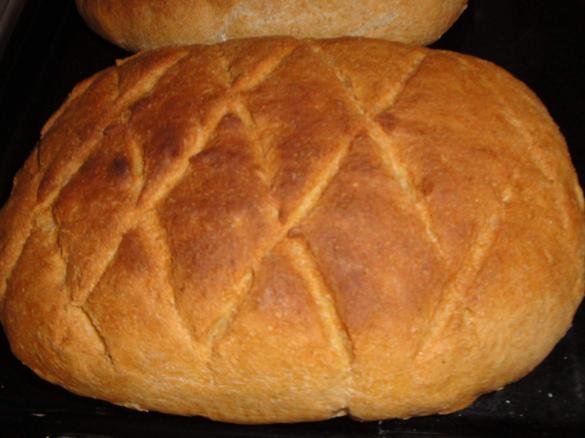 Pane Integrale Bimby