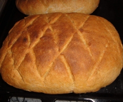 Pane Integrale Bimby