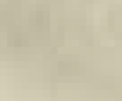 Crostata alla farina d'orzo