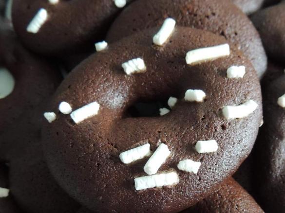 Biscotti al cacao solubile