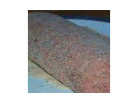 Anello di natale in salsa di acciughe