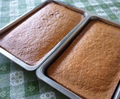 Torta al cocco superveloce