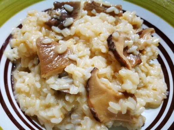 Risotto ai funghi