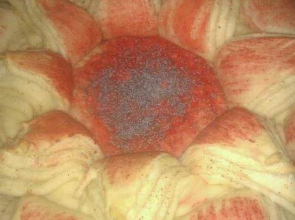 pane come centro tavo