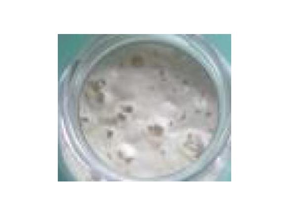 Creazione Lievito liquido