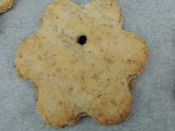 Biscotti avena e crusca