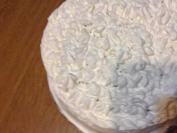 Torta crema cioccolato (senza glutine)