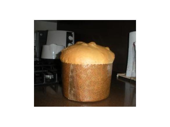 panettone gastronomico