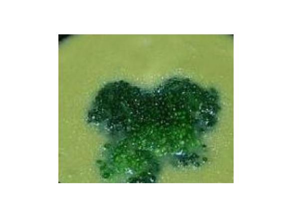 Vellutata di broccoletti