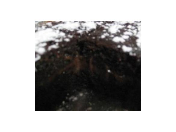 Torta mascarpone e crema alle nocciola