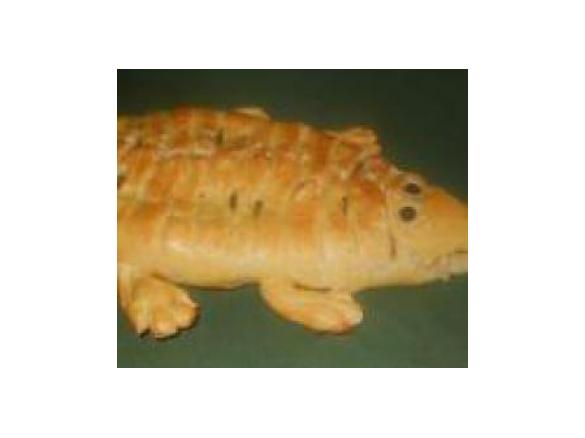 Il coccodrillo come (si) fa?!?