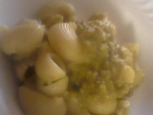 conchiglie con salsa di peperoni,melenzane e zucchine