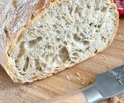 Pane ai semi di lino