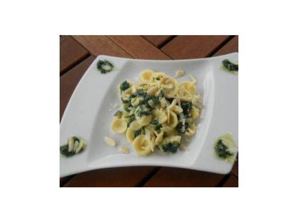 Orecchiette a Modo Mio