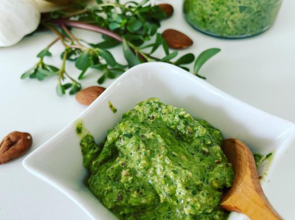 Pesto di portulaca