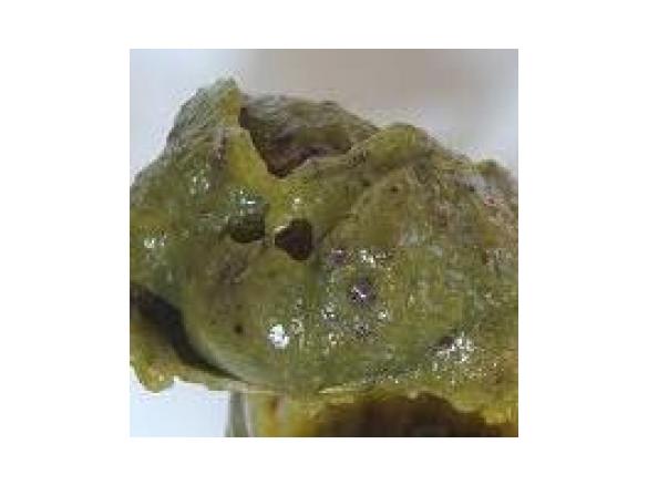 CREMA SPALMABILE AL PISTACCHIO