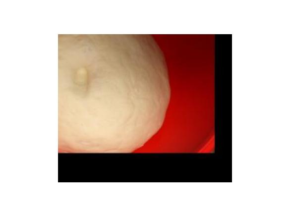  Pizza impasto base - Apemaia31 -