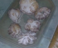 i miei primi biscotti con la sparabiscotti