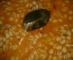 Zuppa di orzo e carote
