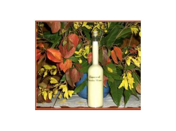 Liquore al cioccolato bianco * IDEA NATALE *