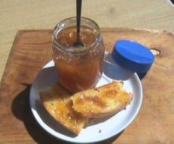 Marmellata ai Pomodori Verdi