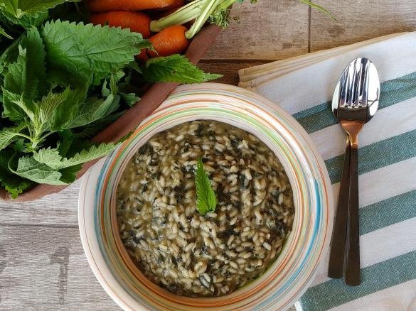 Risotto alle ortiche