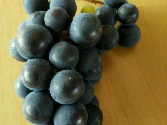 Marmellata di uva clinton