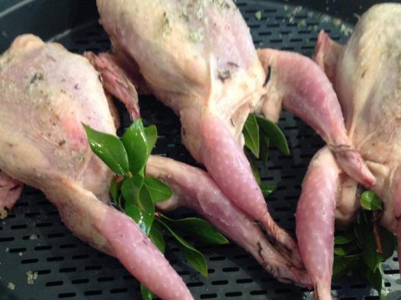 Quaglie in SA MURTA ( nel mirto )