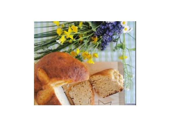 Pinza - ricette create bimby tm6