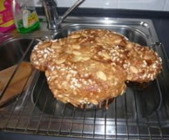 Colomba pasquale veloce "ricca"