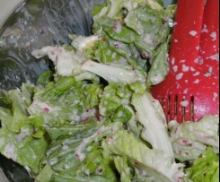 Condimento ai ravanelli (insalata primavera)