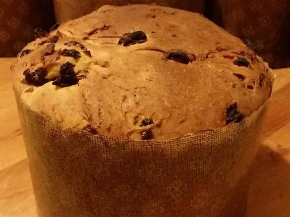 Panettone integrale rapido, anche in versione Veg