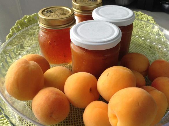 PROVE DI MARMELLATA  DI ALBICOCCHE  COMPLETAMENTE SENZA ZUCCHERO