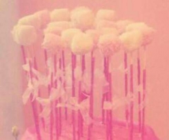 Raffaello (colorati)