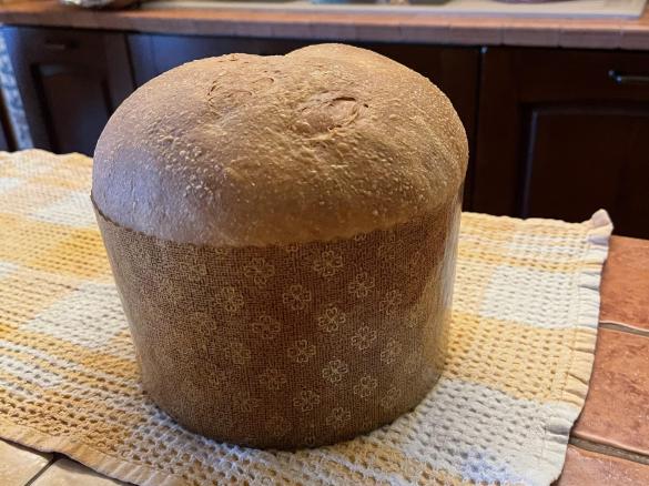 Panettone Gastronomico